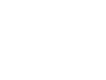 Iekšējās drošības birojs