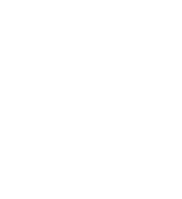 Iekšējās drošības birojs